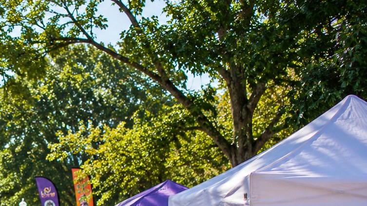 Colorful tents at an outdoor market